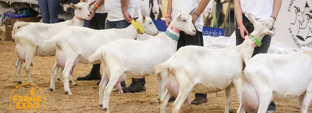 FERME EXPO